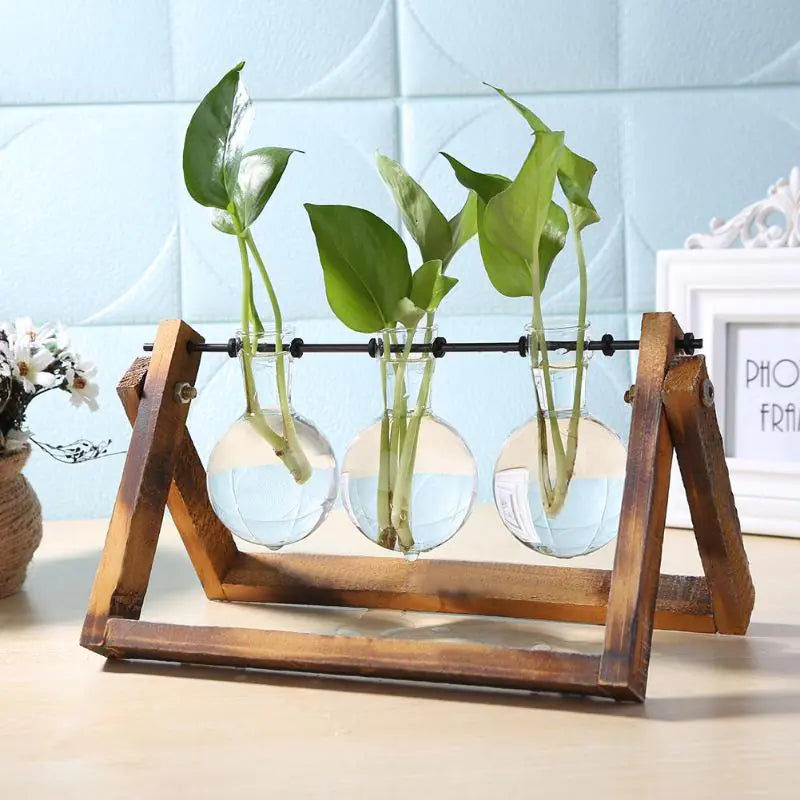 Glass and Wood Propagation Stand