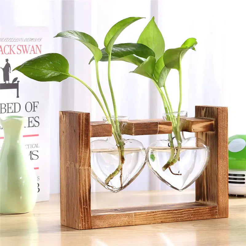 Glass and Wood Propagation Stand