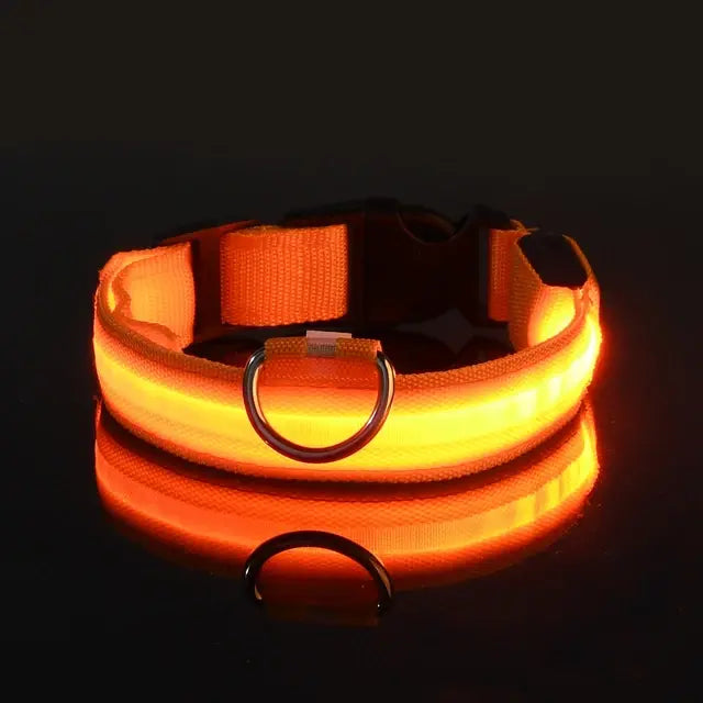 LED Night Safety Glow Dog Collar