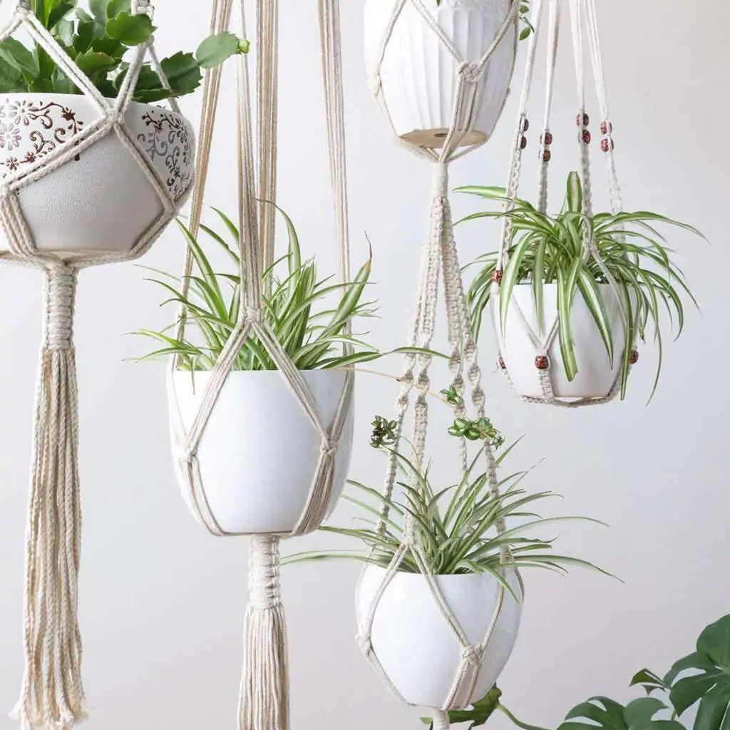 Set of 4 Macrame Plant Hangers