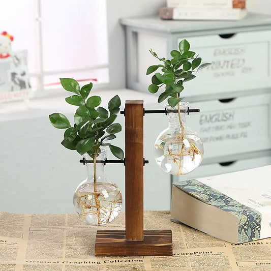 Decorative Plant Propagation Display Tubes