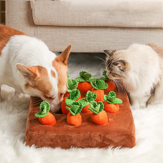 Fruit and Vegetable Pet Toys