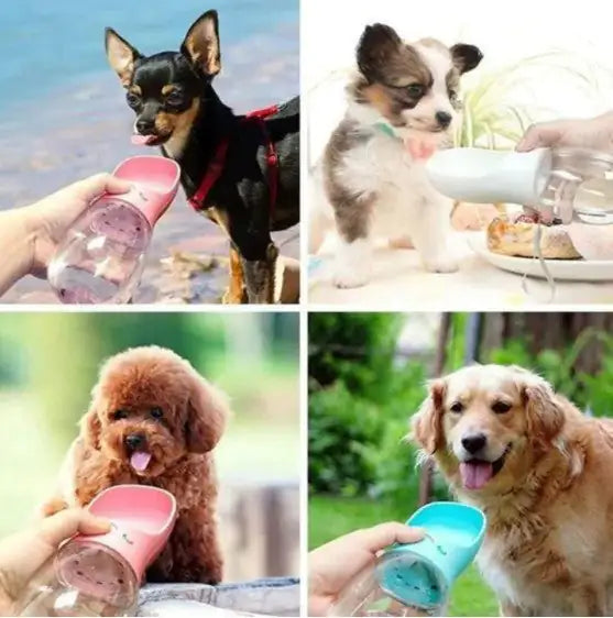 Portable Pet Water Bottle and Filter