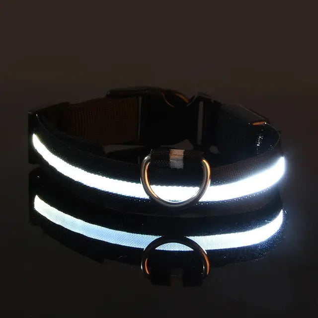 LED Night Safety Glow Dog Collar