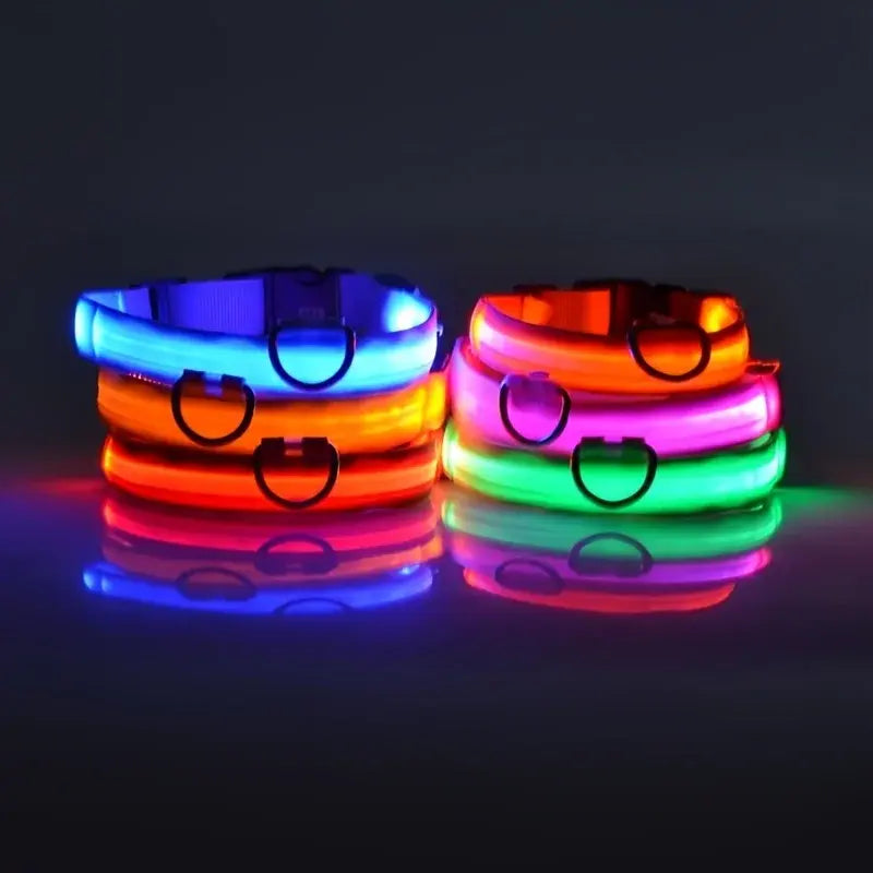 LED Night Safety Glow Dog Collar