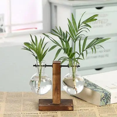 Decorative Plant Propagation Display Tubes