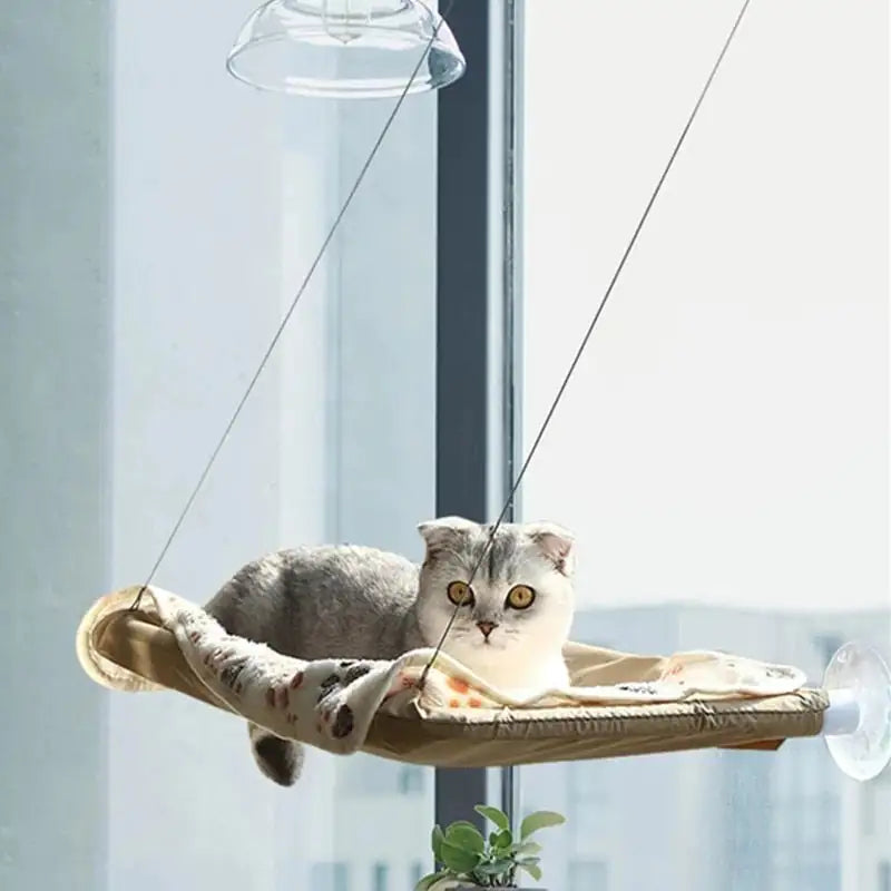 Suspended Cat Bed and Pet Hair Remover