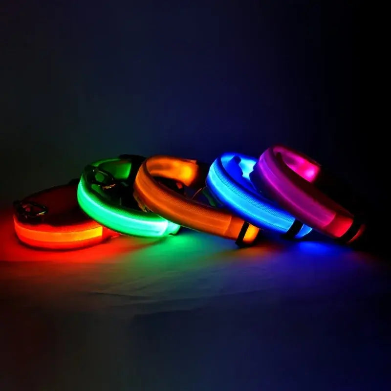 LED Night Safety Glow Dog Collar