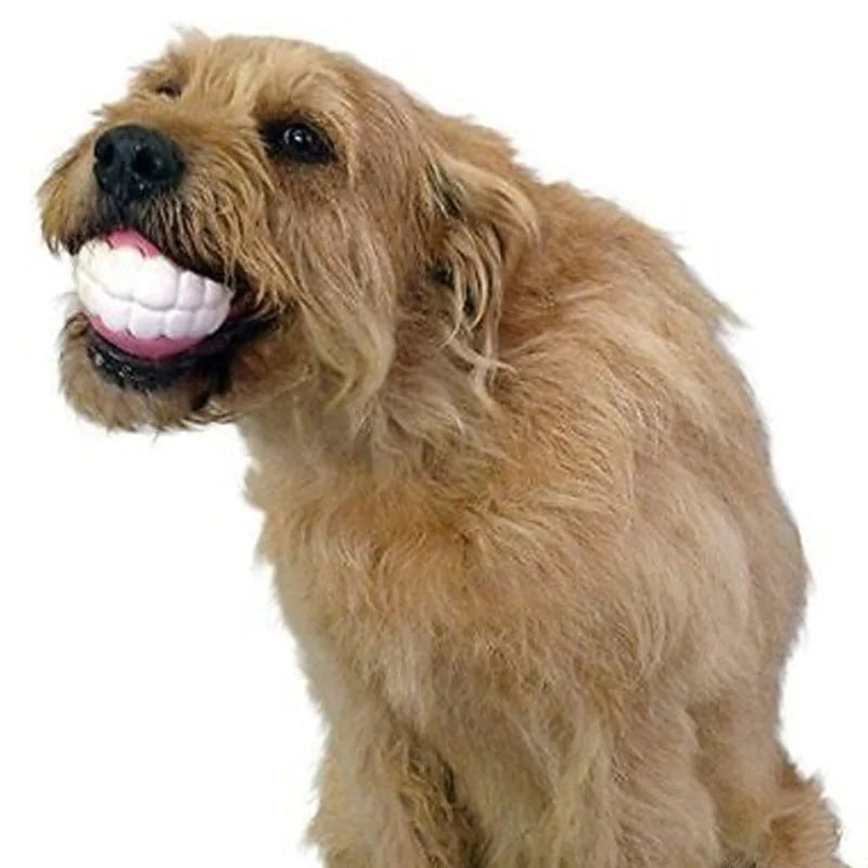 Silicone Teeth Ball Chew Toy for Large Dogs