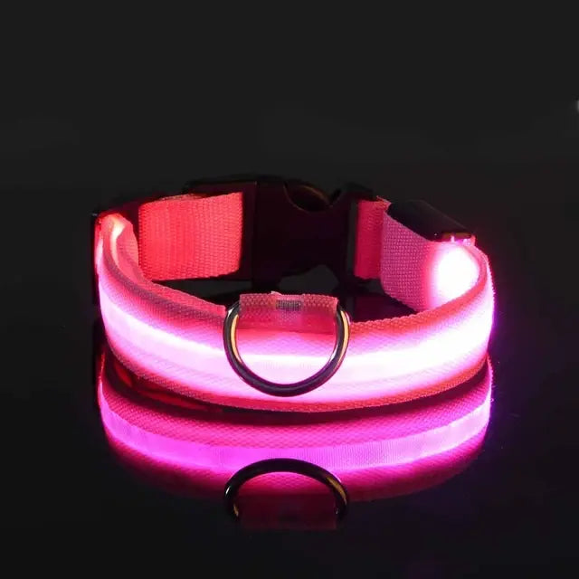 LED Night Safety Glow Dog Collar