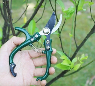 Garden Pruning Scissors with Safety Buckle