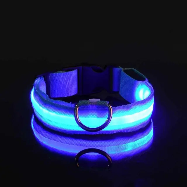 LED Night Safety Glow Dog Collar