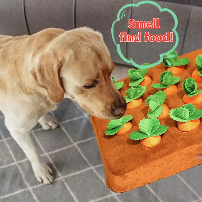 Fruit and Vegetable Pet Toys