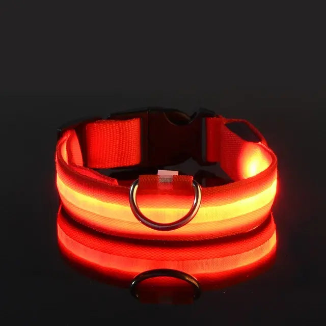 LED Night Safety Glow Dog Collar