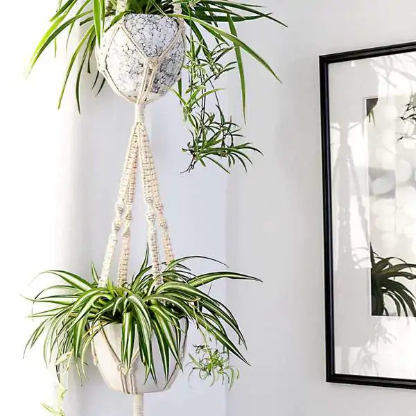 Set of 4 Macrame Plant Hangers