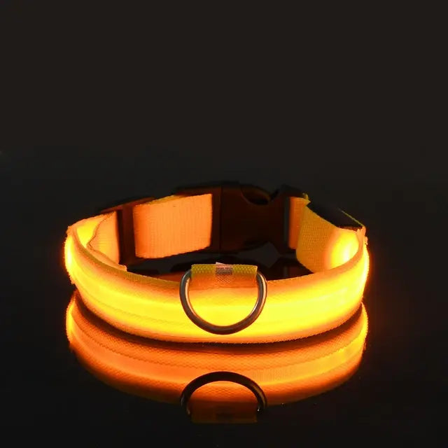 LED Night Safety Glow Dog Collar