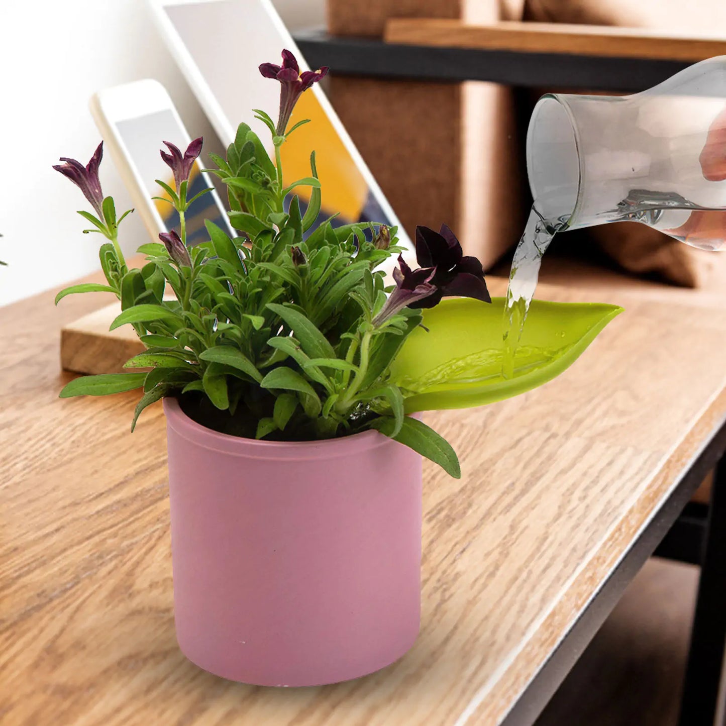 3 Piece Houseplant Watering Funnels