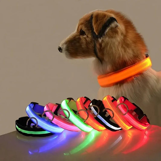 LED Night Safety Glow Dog Collar