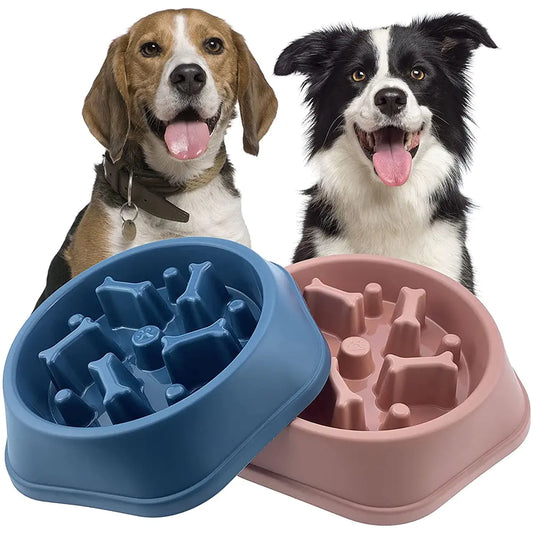 Slow Feeder Dog Bowl