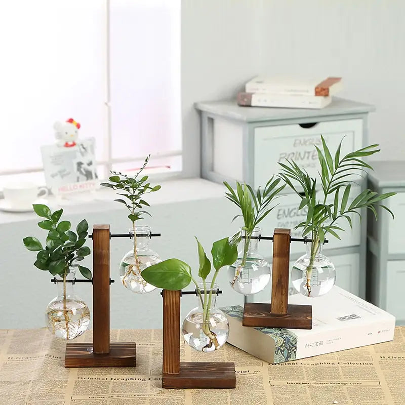 Decorative Plant Propagation Display Tubes