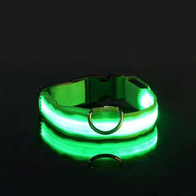 LED Night Safety Glow Dog Collar