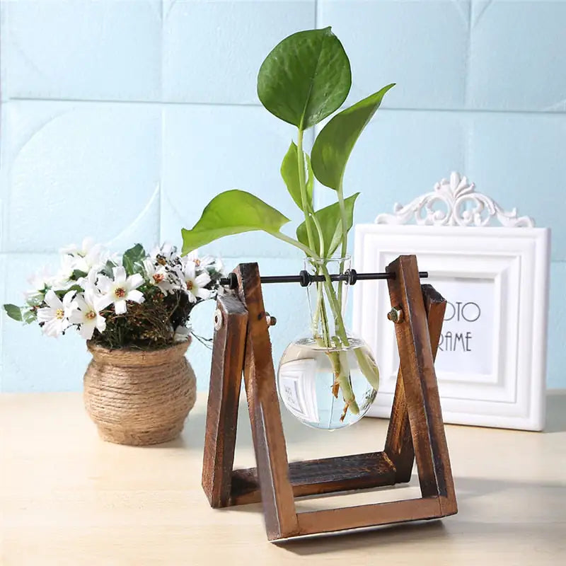 Glass and Wood Propagation Stand