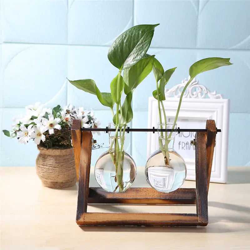 Glass and Wood Propagation Stand